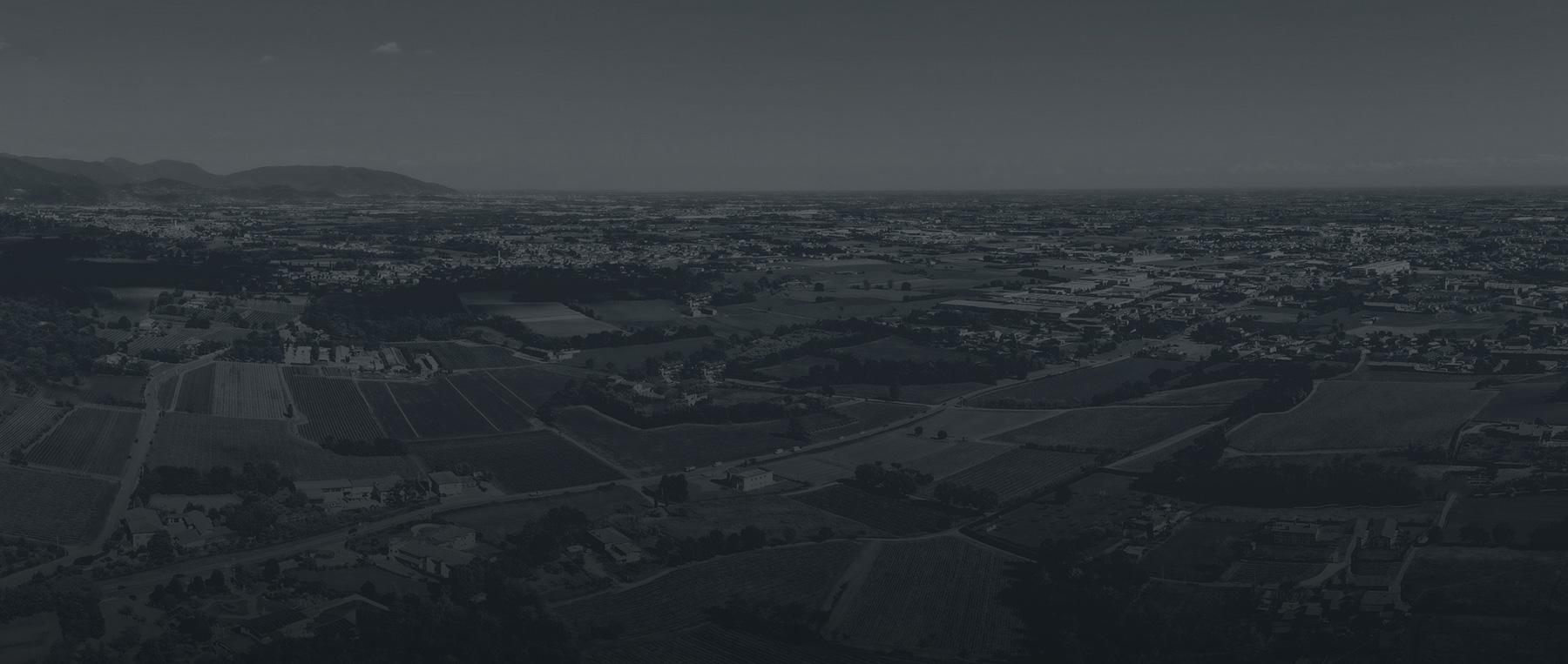 Vigneti 360°