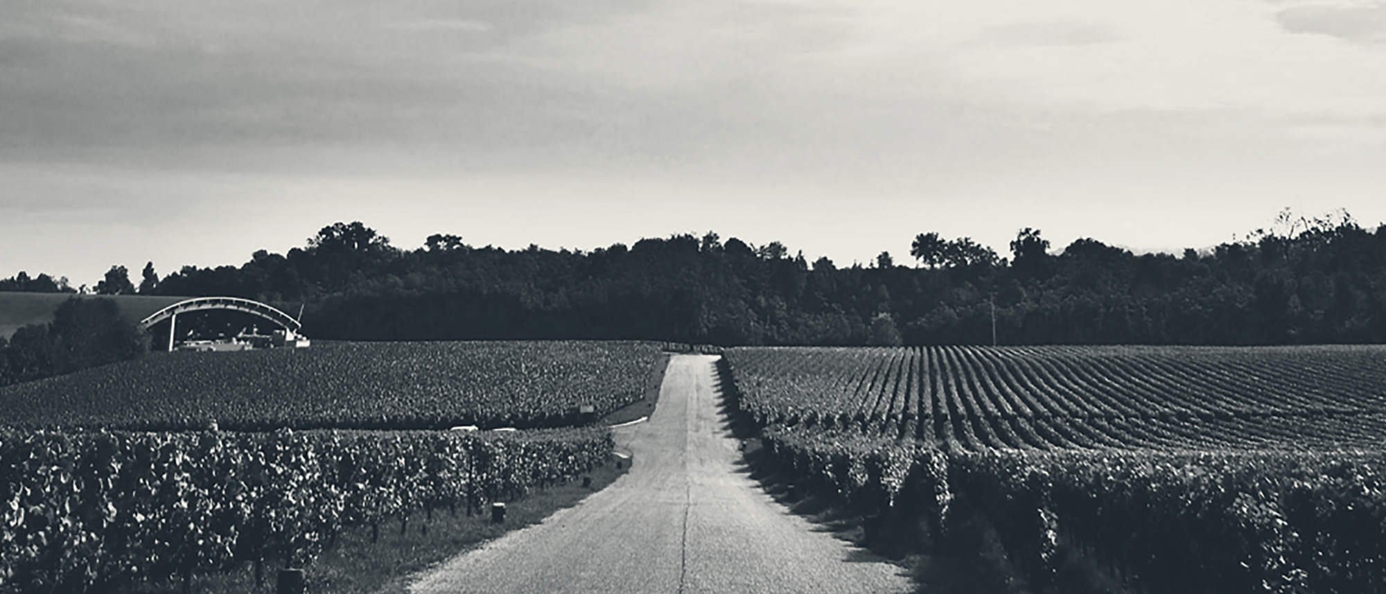  UN VIAGGIO TRA NATURA, ARTE E GUSTO.