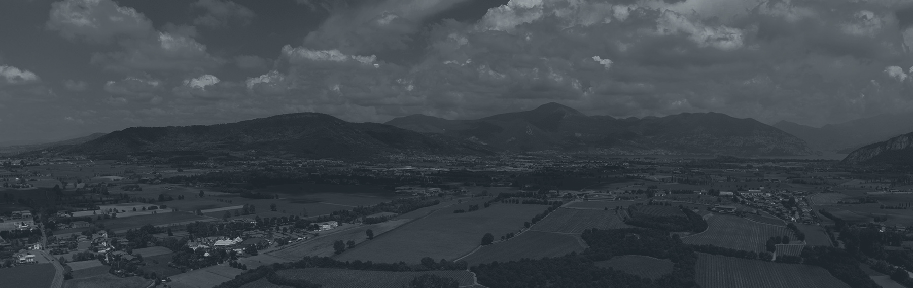 In viaggio tra i vigneti