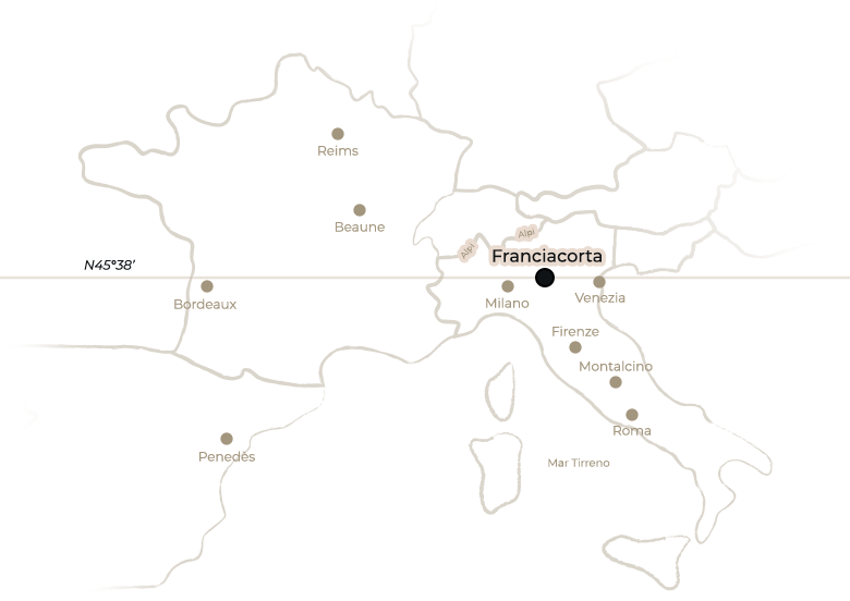 Zoomed map mobile
